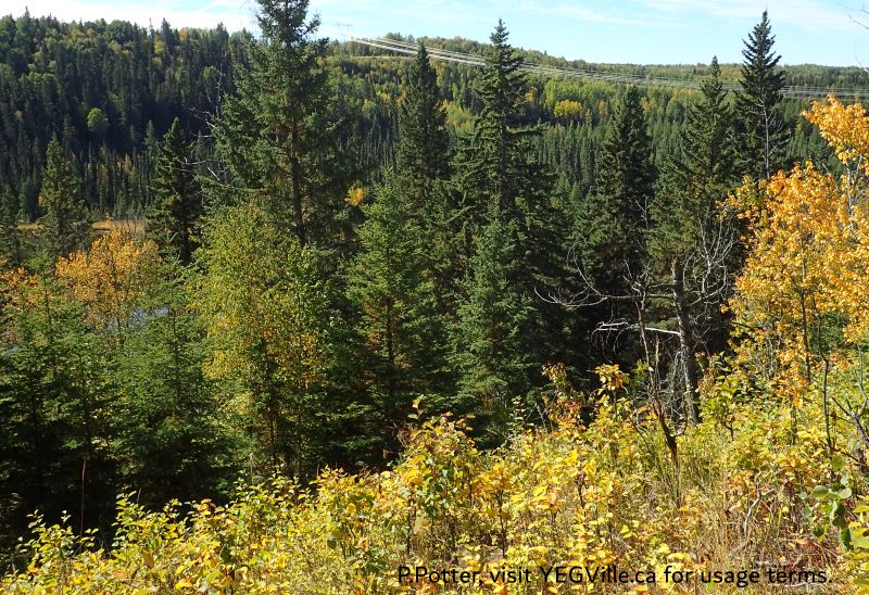 Looking down and W into the PNT, Twin Lakes Campground & Winfield PNT, 2024-09-24.