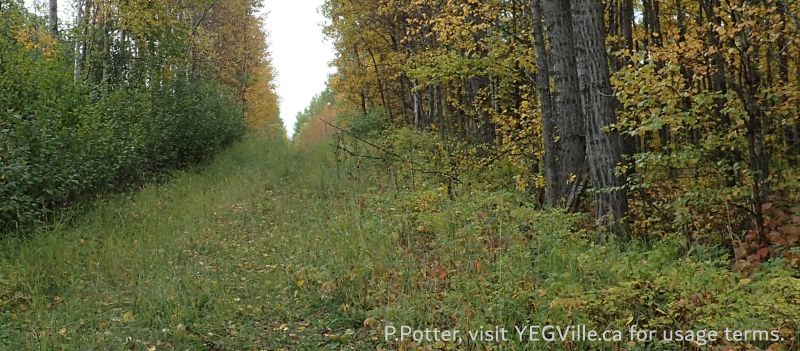 Looking S along the RR 23 right of way, Hoadley NA, 2024-09-25, P. Potter