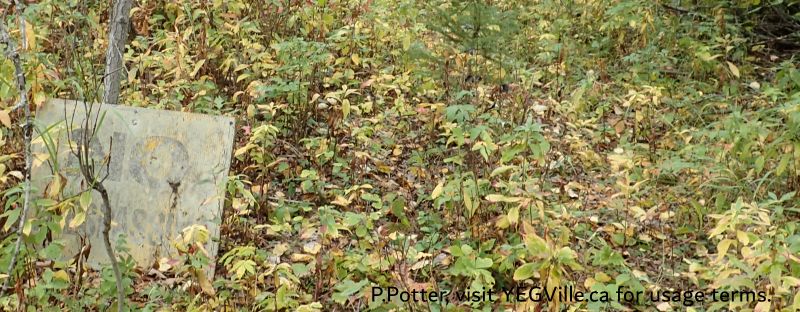 No trespassing sign warns away would be visitors, Hoadley NA, 2024-09-25, P. Potter.