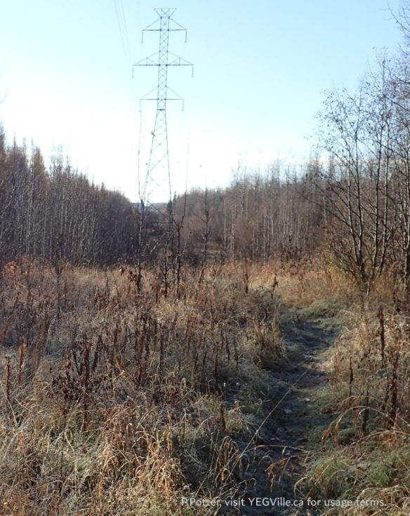 Looking South down a utility right of way which forms the Eastern border of NCC-Parcel, NCC+ Coyote Lake Complex, 2024-10-29, P. Potter.