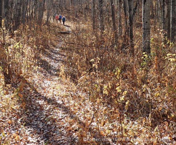 Exploring the West Boundary Trail, NCC+ Coyote Lake Complex, 2024-10-29, P. Potter.
