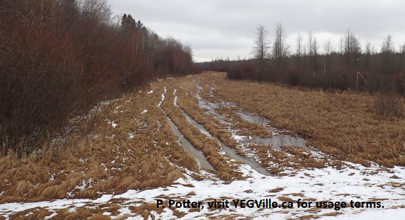 Classic erosion caused by ATV tracks that become braided as former tracks are increasingly unpassable, Halfway Lake NA (South Parcel), 2024-04-06, P. Potter.