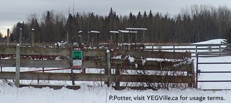 Cattle pen in the NE corner of the site, junction of RR 234 and TWP 604, Anton Lk PNT-North, 2024-12-29, P. Potter.