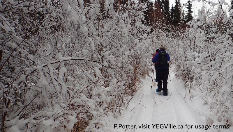 Heading East through a 'winter wonderland', Halfway Lake NA - South, 2024-12-29, P. Potter.