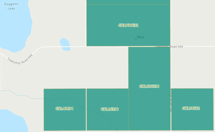 Grazing Leases on the property and nearby, Anton Lk PNT-North, 2024-12-29, P. Potter.
