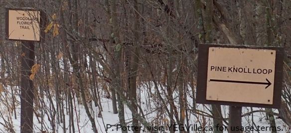 Very clear signage marks the trails, Clifford E. Lee Sanctuary, 2020-12-26.