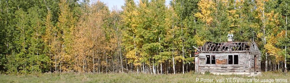 Abandoned farmstead on TWP 544 near RR 11, 2024-09-28, Bilby NA, P. Potter.