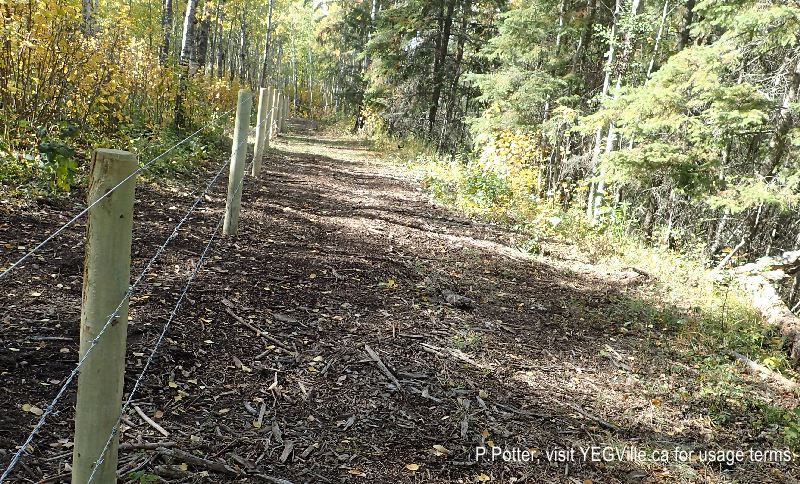 Newly installed boundary fence running along the North and West borders, 2024-09-28, Bilby NA, P. Potter.