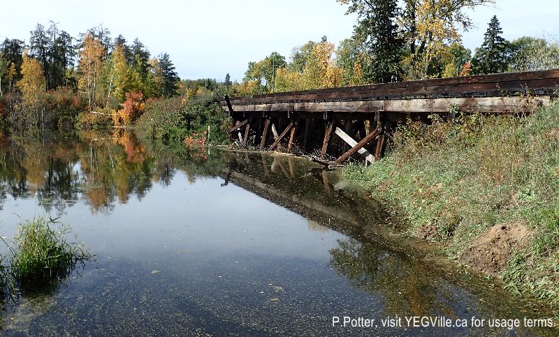 A Beaver dam created against a train trestle; nice of those humans to help!, 2024-09-28, Bilby NA, P. Potter.