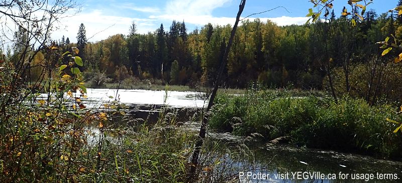 Looking roughly SW across Kilini Creek and the extensive backwater from the beaver dam, 2024-09-28, Bilby NA, P. Potter.