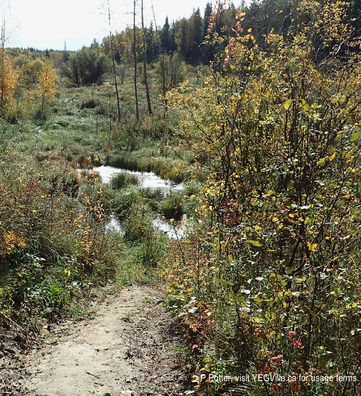 Looking south as the ATV track drops down into the flooded Kilini Creek - a track to follow in hip waders, 2024-09-28, Bilby NA, P. Potter.