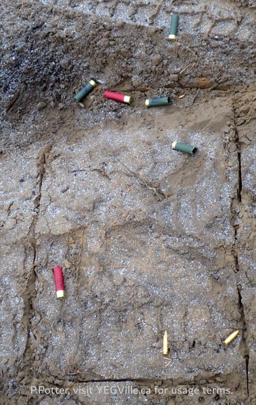 The outline of the first area to be excavated, 2024-11-15, Redwater River NA (CBC Story), P. Potter.