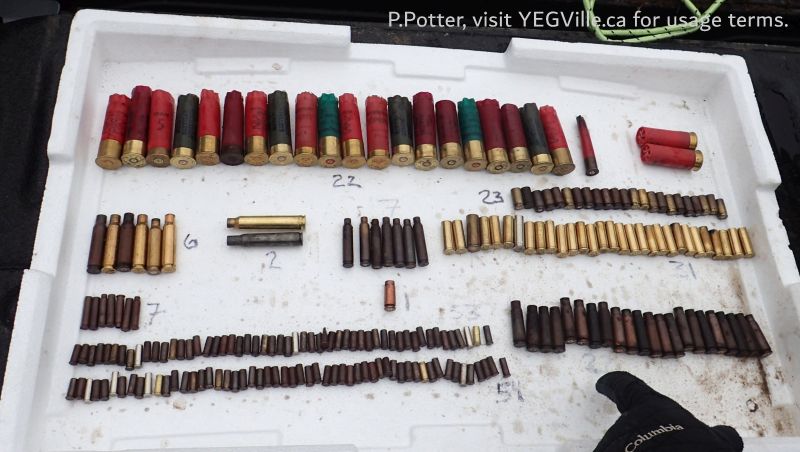 Showing the count of the spent casings, 2024-11-15, Redwater River NA (CBC Story), P. Potter.