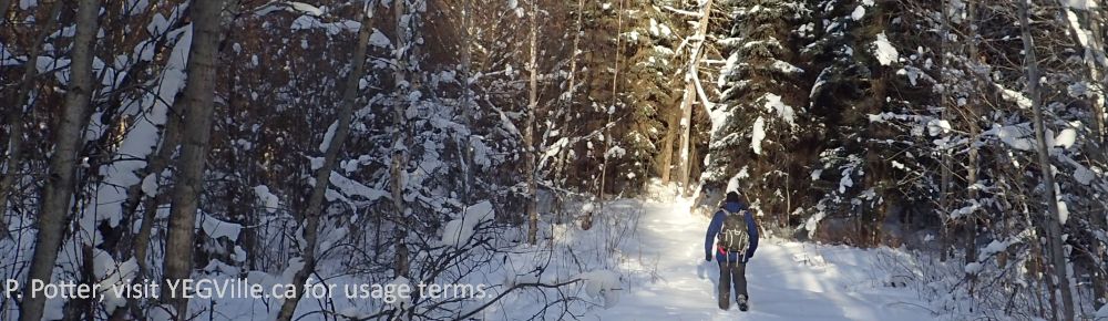 Hiker heading north along the old mine road into the parcel, 2025-01-07, Clyde Fen NA, P. Potter