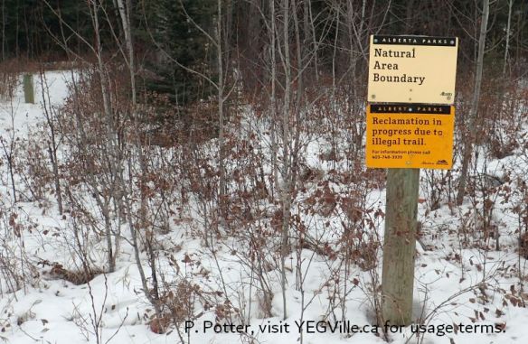 Just off the parking lot turn off and looking North, a boundary sign and another explaining trail reclamation, Genesee NA, 2025-01-15, P. Potter.