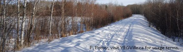 A berm constructed to cross the wetland in the SE corner of the site, Bunchberry Meadows, 2025-01-26, P. Potter.