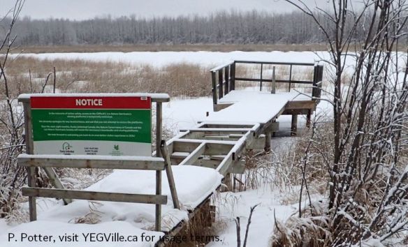 Viewing platform closed for repairs, Clifford E. Lee Nature Sanctuary, P. Potter.
