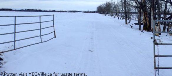 Looking N into the private farmland to access to site; permission is required, Opal NA (West), 2025-02-21, P. Potter.