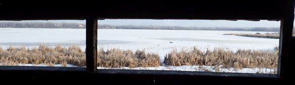Looking East across Devil's Lake from the hunting blind set up on the site, Imrie Park, 2020-12-11, P. Potter.
