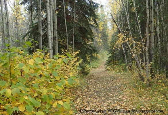 Looking east towards Devil's Lake, Imrie Park, 2024-09-28, P. Potter.