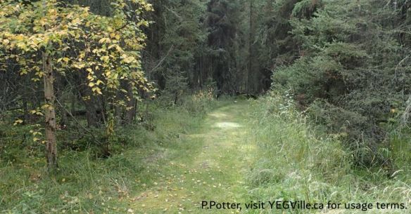 Example of the excellent maintenance provided to the site, Imrie Park, 2024-09-28, P. Potter.