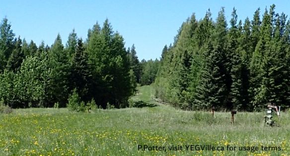 Looking West past a capped well head and along the service road which ends at RR45, 2025-05-28, Wilson Creek NA, P. Potter.