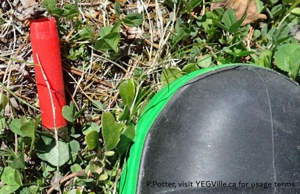 Spent shot gun shell casing found at the OC well site, 2025-05-28, Wilson Creek NA, P. Potter.