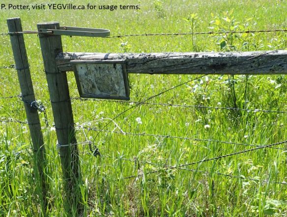 Gate at South boundary of the site beneath the power line corridor, St. Francis NA-OC, P. Potter, 2025-06-07 o