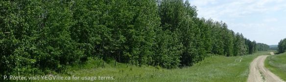 Looking East along the South boundary of the NA and the well site service road running through the adjoining property, St. Francis NA-OC, P. Potter, 2025-06-07