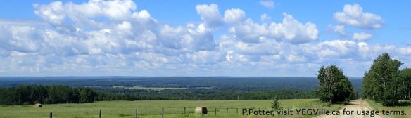 Looking West across the Pembina River Valley from TWP 512, Bigoray NA, 2025-07-15, P. Potter.