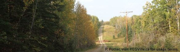 Looking West along the oilfield road and the bridge crossing Buck Lake Creek, 2025-09-14, P. Potter.