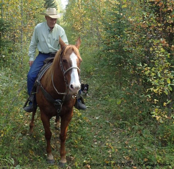 Rick A. who kindly supplied his time, knowledge and horse for the SAPAA Site Inspection, 2025-09-14, P. Potter.