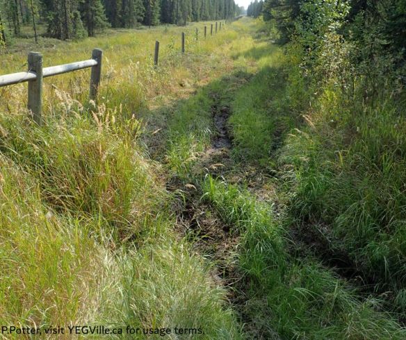 Looking South along the Eastern border of the NA; ATV track running along the fence, 2025-09-14, P. Potter.