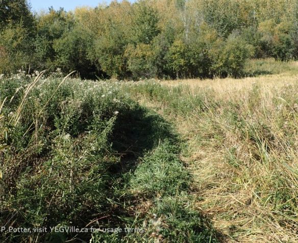 Looking West along the Upper Mann Lake and an ATV Track that skirts it, 2025-09-21, Upper Mann Lk NA (NE), P. Potter.