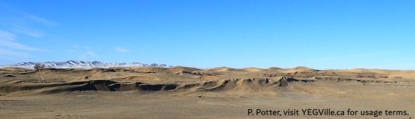 Looking roughly NW across the sand dunes of the semi-Gobi, 2025-12-08, Camel ride, P. Potter.