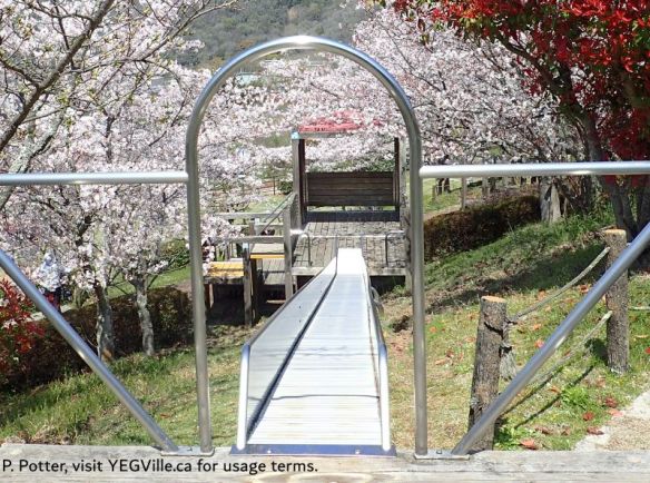 Playground in the Oyamazumi Shrine grounds, 2026-04-03, Omishima Island, P. Potter.