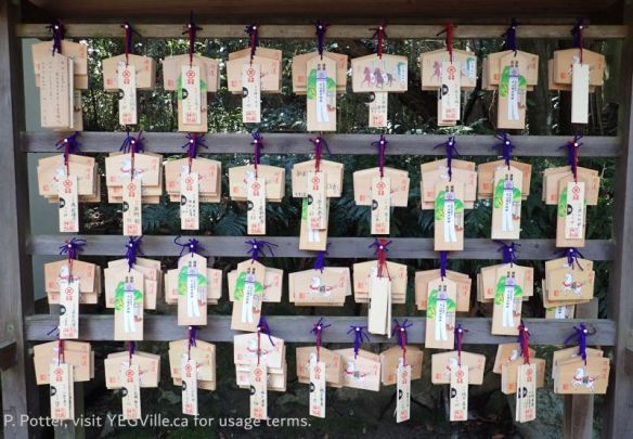 Ema, Shinto Prayer Boards, 2026-04-03, Omishima Island, P. Potter.