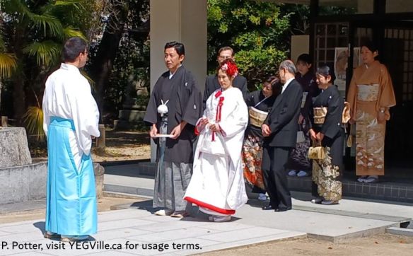 Bride and Groom taking part in a marriage ceremony, 2026-04-03, Omishima Island, P. Potter.