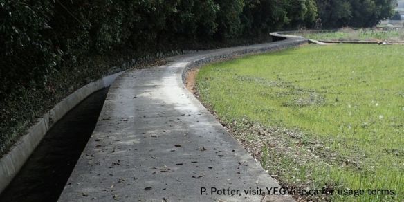 A cement path and water causeway snaking around the base of the hill Eifuku‑ji (栄福寺), Temple #57 is located on, 2026-04-05, Imabari Castle, P. Potter.