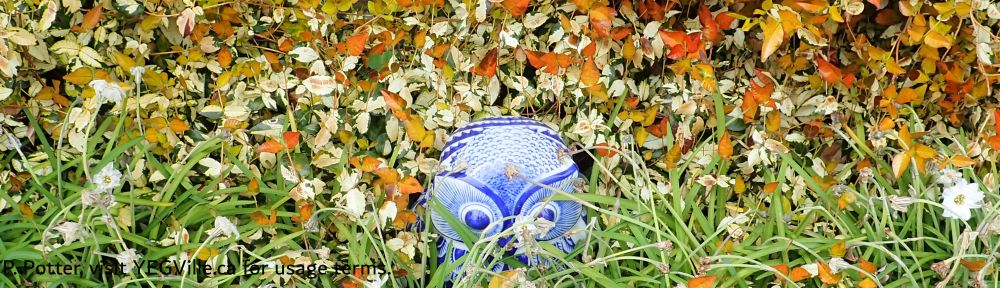 A ceramic owl hiding in a small garden plot, 2026-04-09, Matsuyama and area, P. Potter.