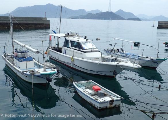 Small sailing and fishing boats moored along the coastal road, 2026-04-12, Coastal Drive from Kure, P. Potter.