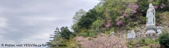 One of the many shrines dotting the road and maintained by locals, 2026-04-13, Coastal Drive from Kure, P. Potter.