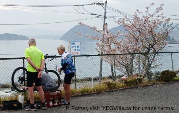 Fixing a broken chain amongst the cherry blossoms of Japan, 2026-04-14, Tabist & Last Ride Day, P. Potter.