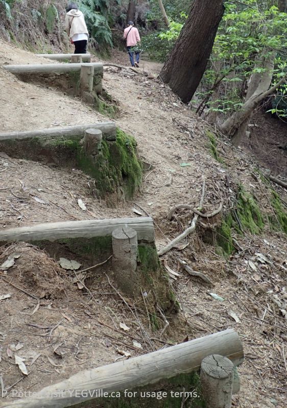 Two fellow hikers on the well eroded trail heading up to the observation area, 2026-04-14, Rabbit Island, P. Potter.