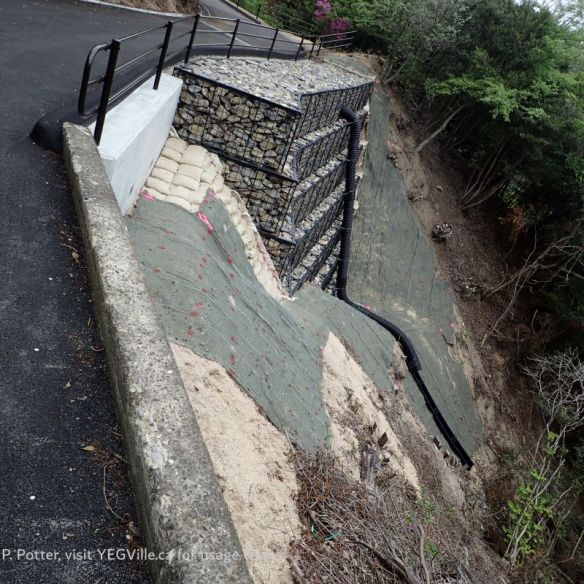 Japanese road engineering at its finest, shoring up an embankment , 2026-04-14, Rabbit Island, P. Potter.