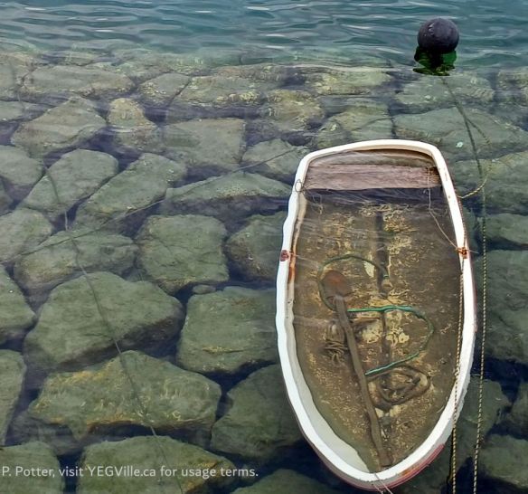 A sunken boat no longer responding to the tide’s commands, 2026-04-14, Rabbit Island, P. Potter.