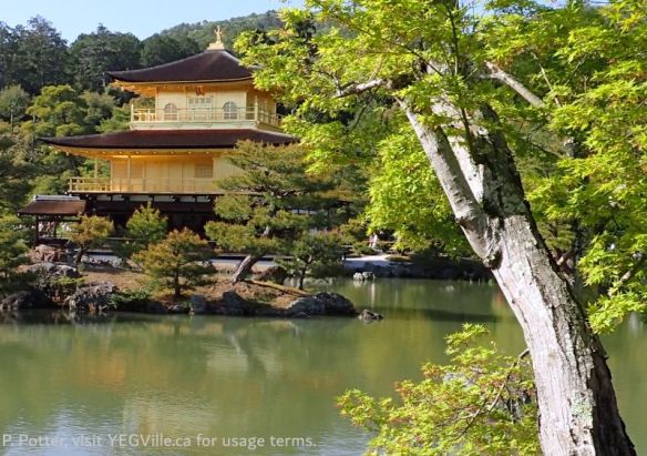 The first glimpse of the magnificent structure, 2026-04-16, Kinkaku‑ji (Golden Pavilion), P. Potter.