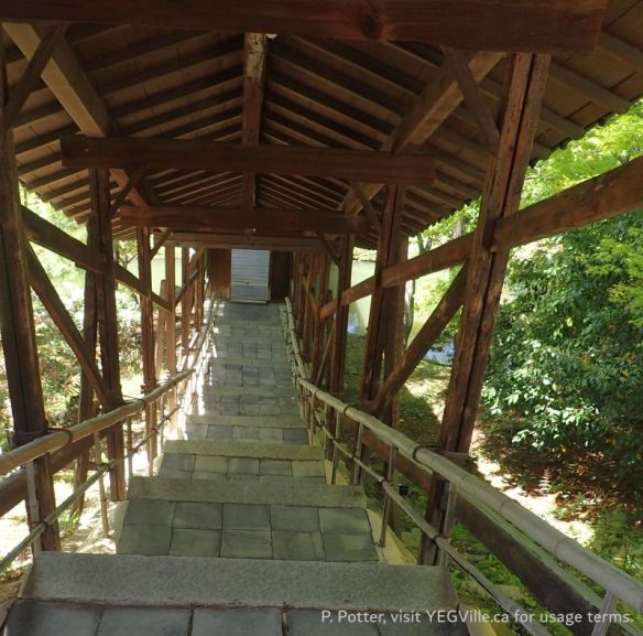 Looking down a covered bridge connecting the one building to another... with a large coy fish hiding in the bridge's shadow, Kōdai ji’s Zen gardens, 2026-04-17, P. Potter.