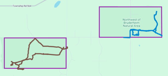 Track of areas visited on 2025-05-05, NW of Bruderheim (West Parcel), 2026-05-05, P. Potter.
