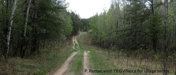Quad track heading south from the TWP into the site, Bridge Lake NA (OC), 2026-05-26, P. Potter.